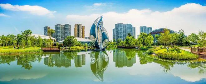 口述泸州40年丨“奥运五金王”邹凯启蒙教练林朝阳经历的泸州体完美体育育史(图3)