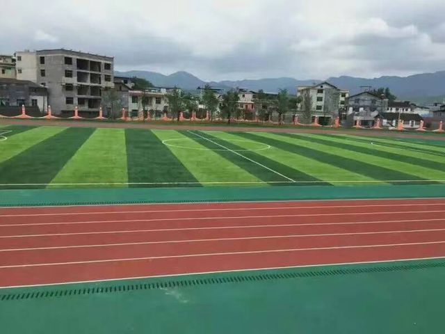 塑完美体育胶跑道厂家丨蓝色跑道为什么是体育生的信仰?(图3) 塑完美体育胶跑道厂家丨蓝色跑道为什么是体育生的信仰?(图3)