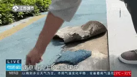业主戏称塑胶跑道“不如煎饼果子牢固”！刚交付半年完美体育的小区问题有点多！(图5)