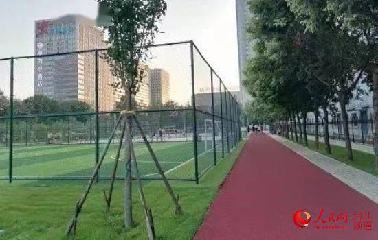 完美体育河北保定：完善体育设施 托起运动梦想(图2)
