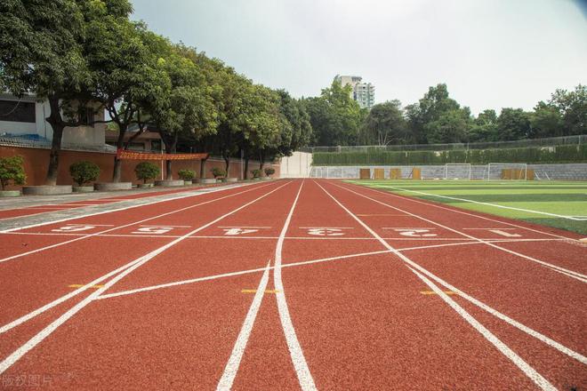标准的塑胶跑道有几个跑道(图3) 标准的塑胶跑道有几个跑道(图3)