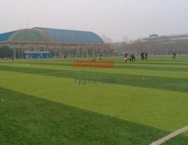 体育场地设施有哪几种分类标准(图1)