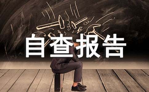 体育设施自查报告(图1)