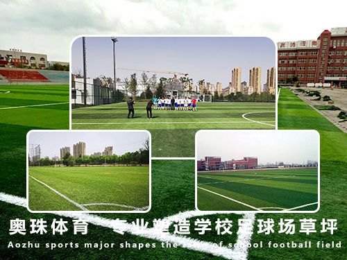 完美体育西安塑胶跑道公司(图2)