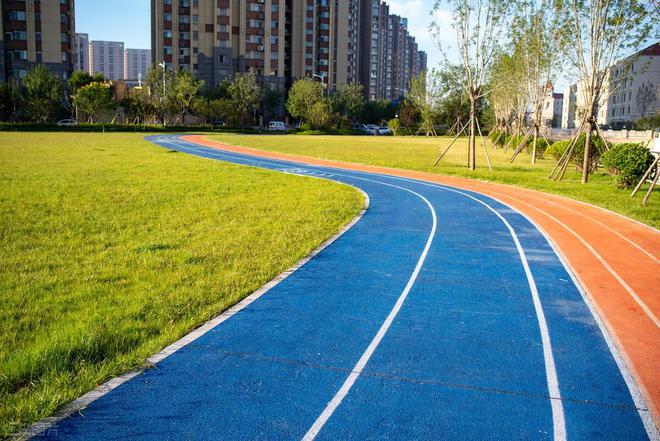 彩色沥完美体育青跑道和塑胶跑道的差别(图6)