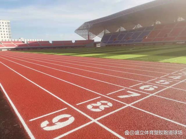 混合型塑胶跑道材料完美体育(图1) 混合型塑胶跑道材料完美体育(图1)