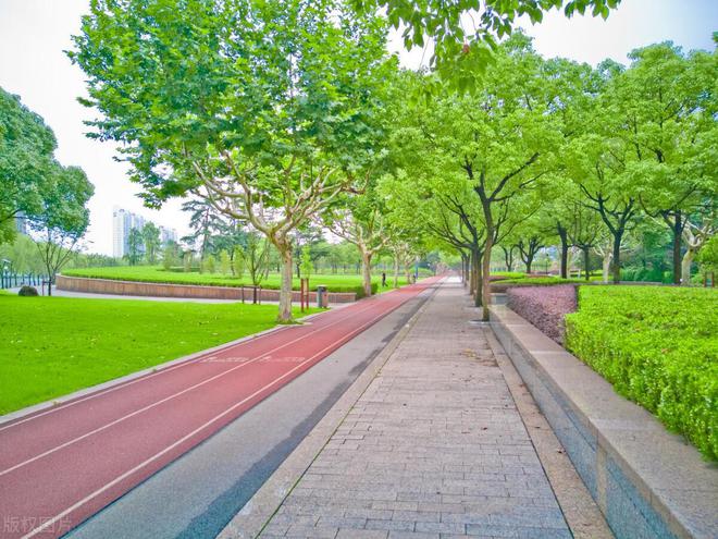 塑胶跑道底下混完美体育凝土是光面还是毛面(图4) 塑胶跑道底下混完美体育凝土是光面还是毛面(图4)